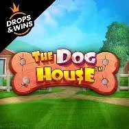 the dog house